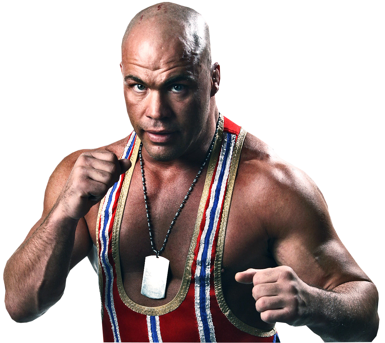 The Sports Archives Blog - The Sports Archives - Is Kurt Angle's Olympic Desire Genuine or a Publicity Stunt?